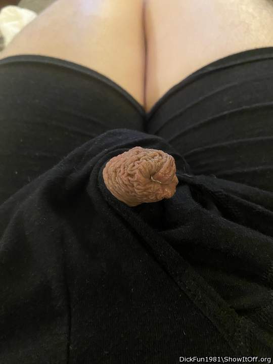 Adult image from DickFun1981
