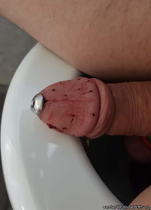 Adult image from xander69