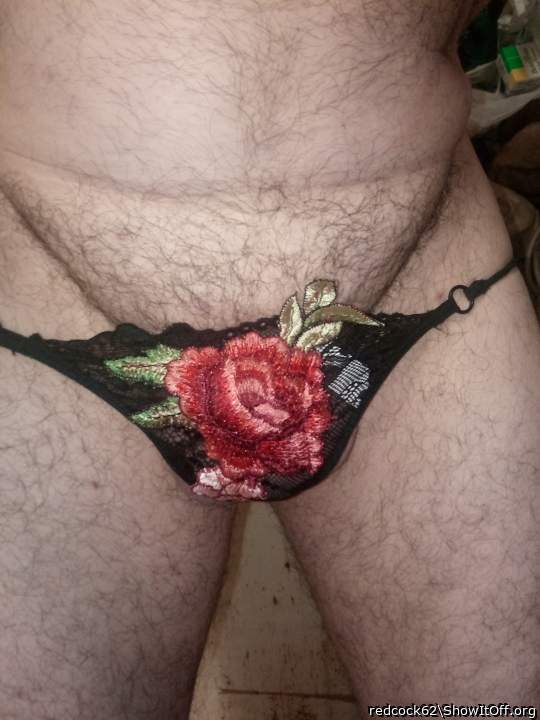 Adult image from redcock62