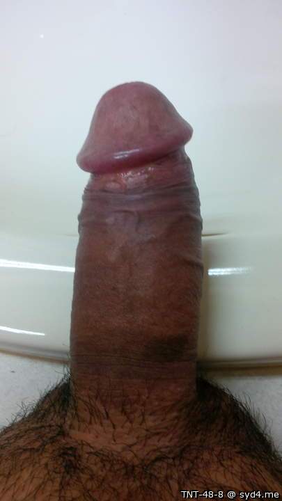 Adult image from TNT-48-8