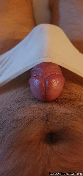 Adult image from Csfsc
