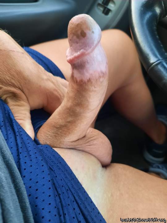 Adult image from bus310