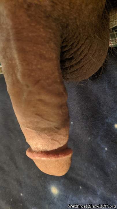 Adult image from Wetthroat