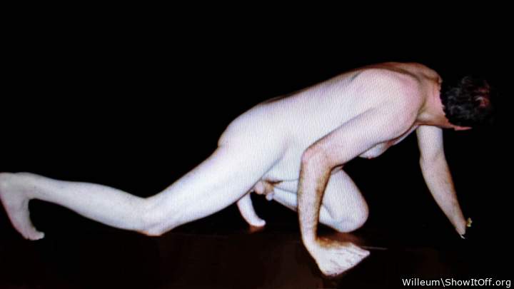 Adult image from Willeum