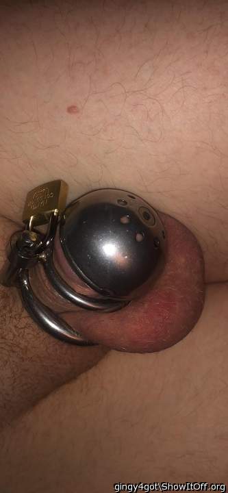 Adult image from Gingy4got