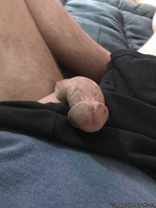 Adult image from Cuthead