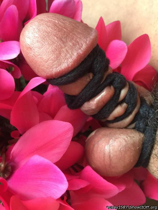 Adult image from eusay1587