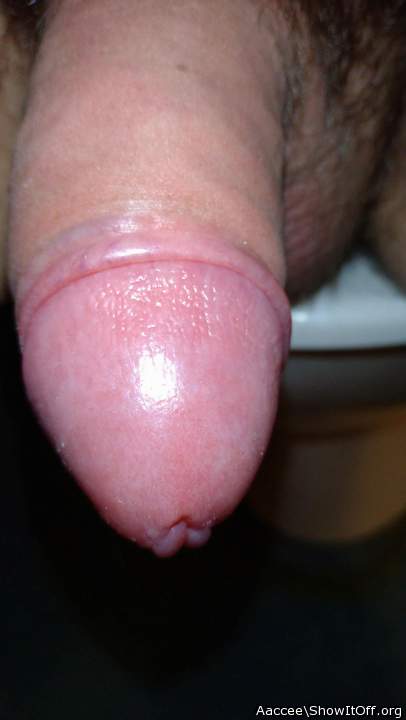 Adult image from Aaccee