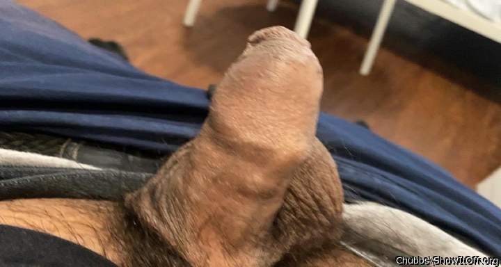 Adult image from Chubbs