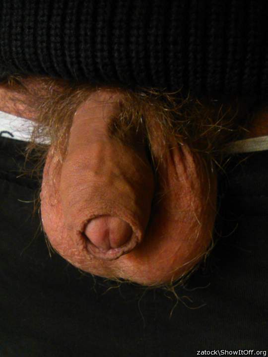 Awesome cock and balls and foreskin