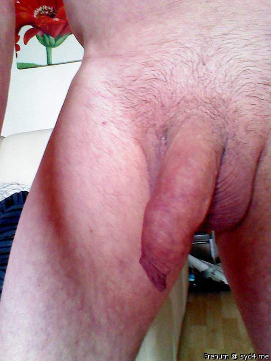 Adult image from Frenum