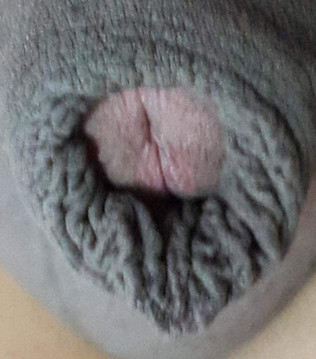 Adult image from judo