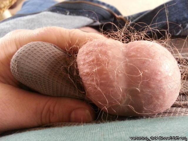 Adult image from vanishing_Dick
