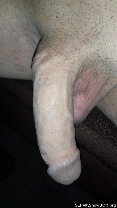 Adult image from SEH49