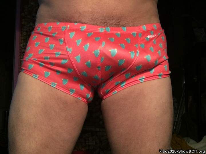 Adult image from Pibo2020