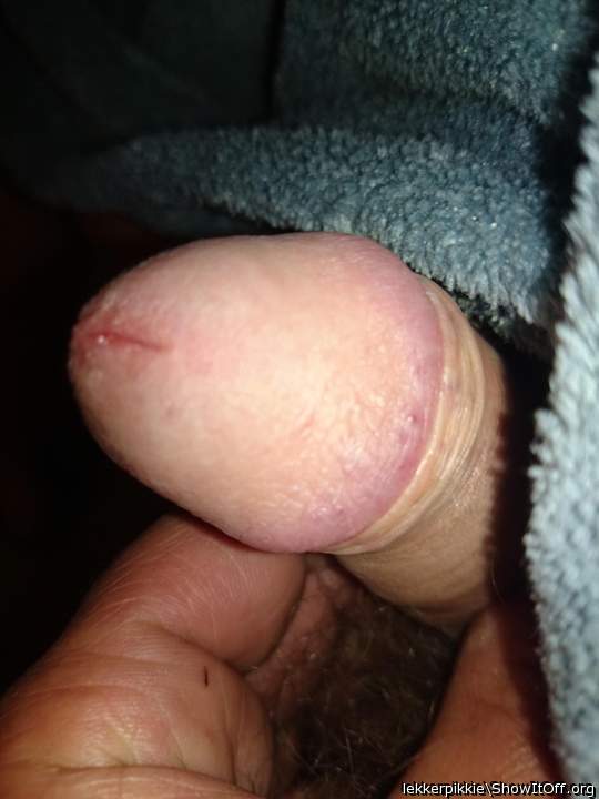 Adult image from lekkerpikkie