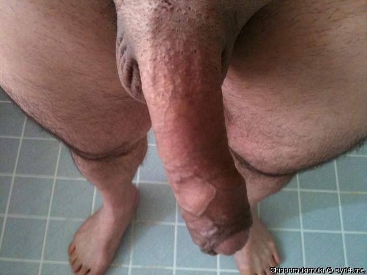 Adult image from ChinpoMukimuki