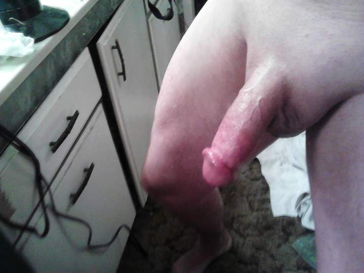 Adult image from fish4free