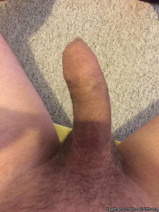 Adult image from feelthehorn