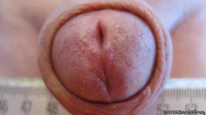 Adult image from Dick88