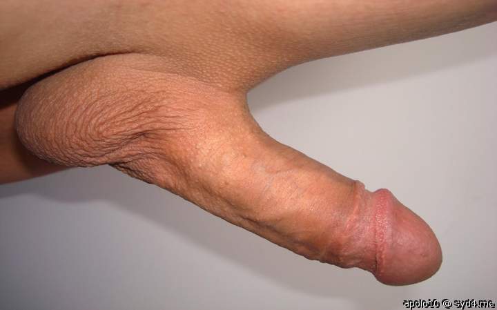 Adult image from apolo10