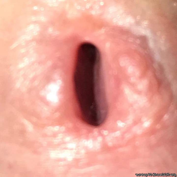 Adult image from eurotop40