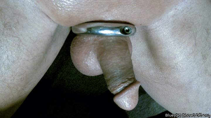  Restraints help maintain long-lasting erectness of the peni