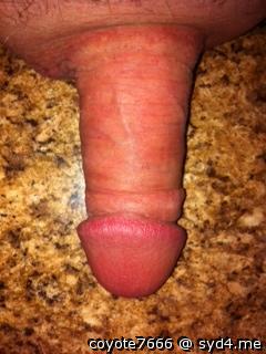 Adult image from coyote7666