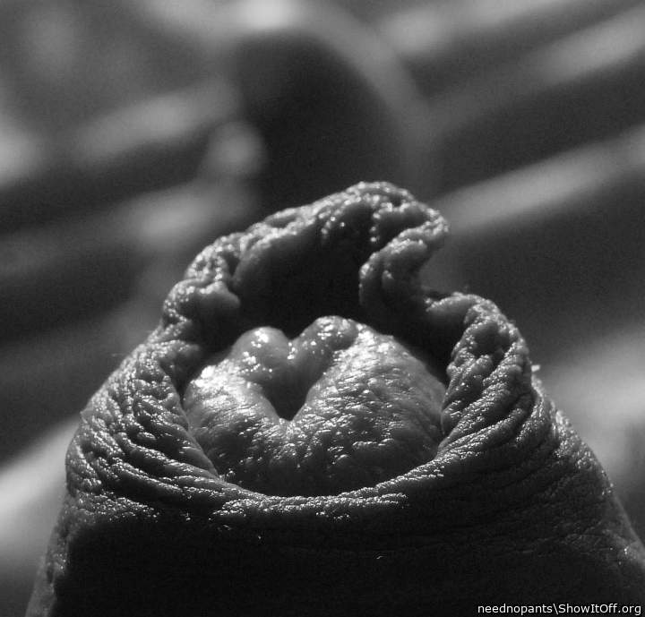 Adult image from neednopants