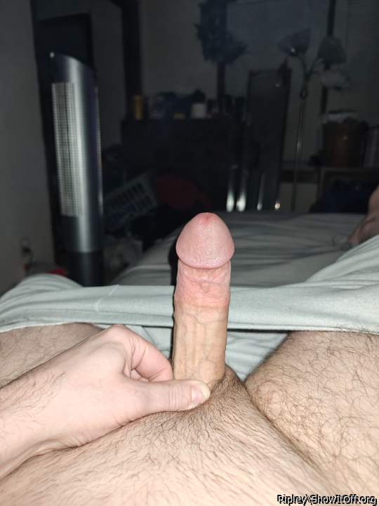 Adult image from Ripley