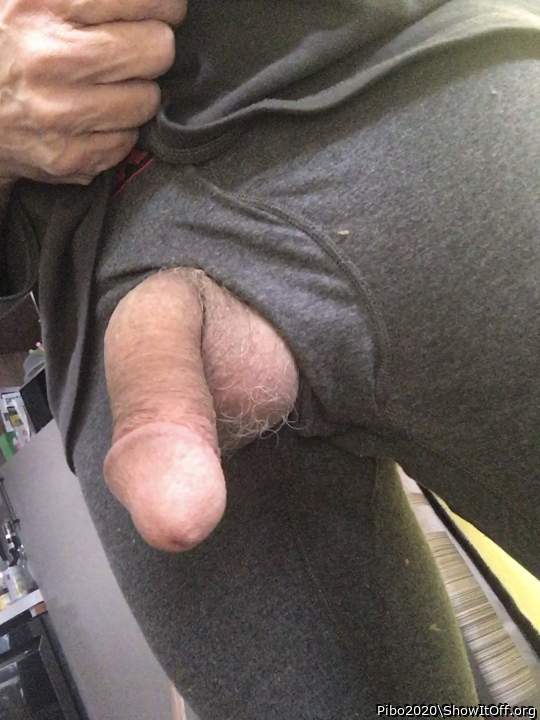 Adult image from Pibo2020