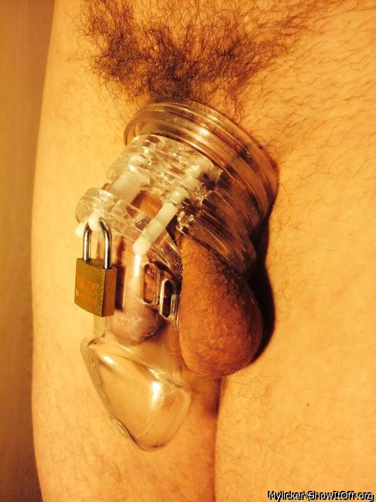 Adult image from Mylicker