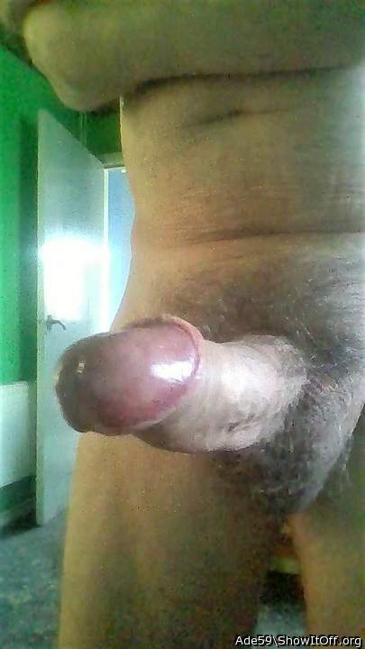 Adult image from Ade59