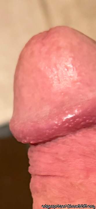 Adult image from edgespritzer