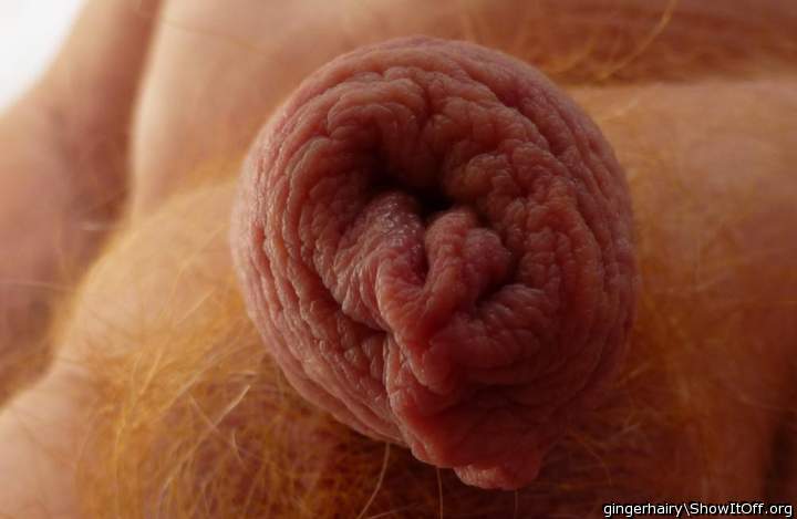 Adult image from gingerhairy