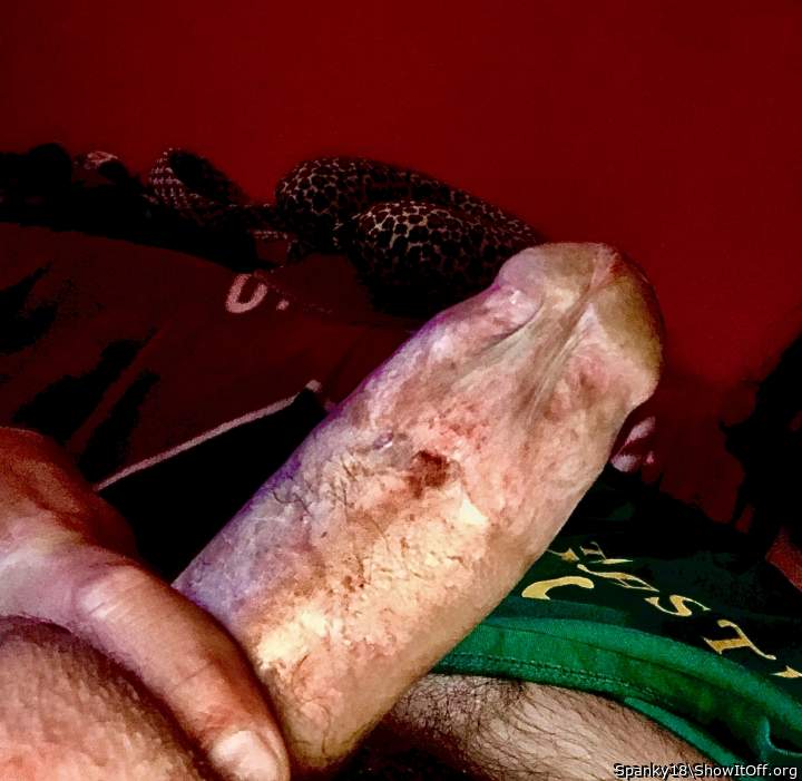 Adult image from Spanky18
