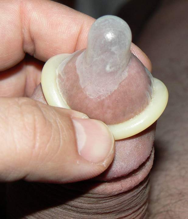 Adult image from eichel