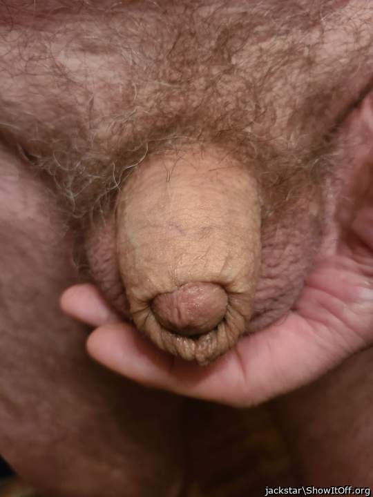 Adult image from jackstar