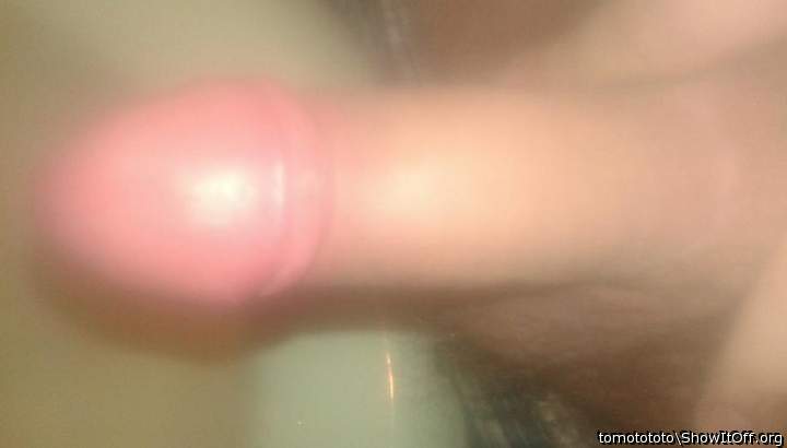 Adult image from tomotototo