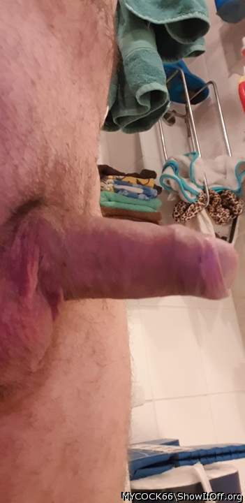 Adult image from MYCOCK66