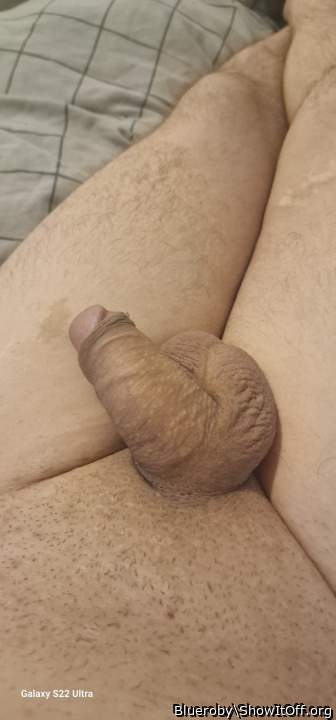 Adult image from Blueroby