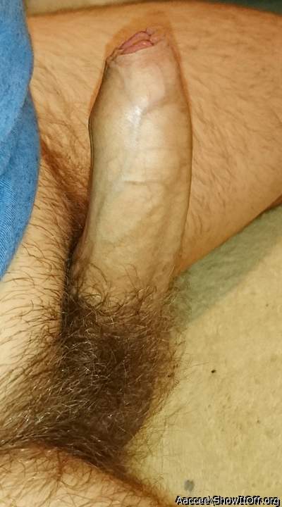 Adult image from Aaccee