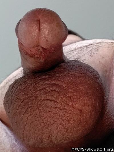 Adult image from M*C*S