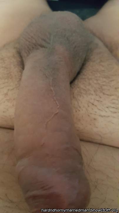 Adult image from hardndhornymarriedman
