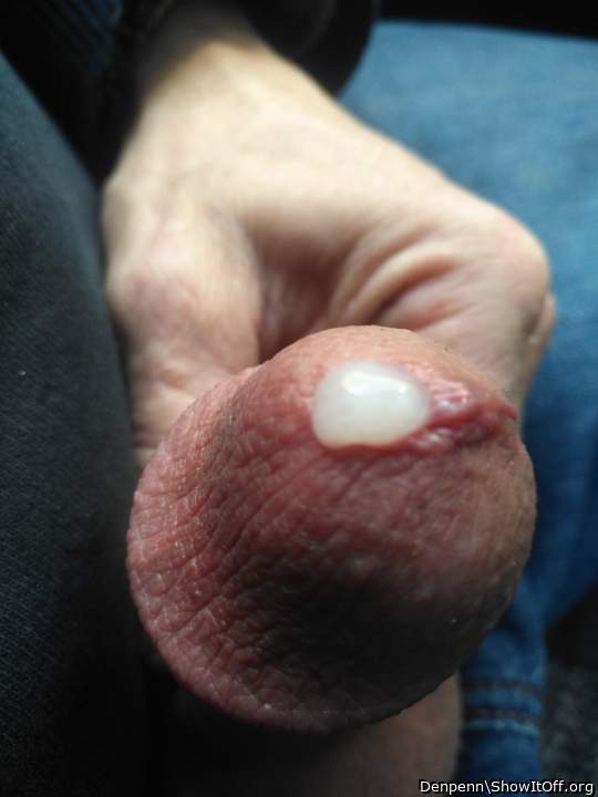 Adult image from Denpenn