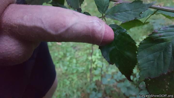 very nice sequence