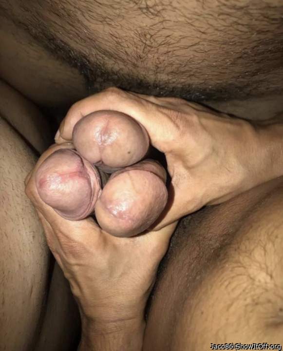 Adult image from Jaco86