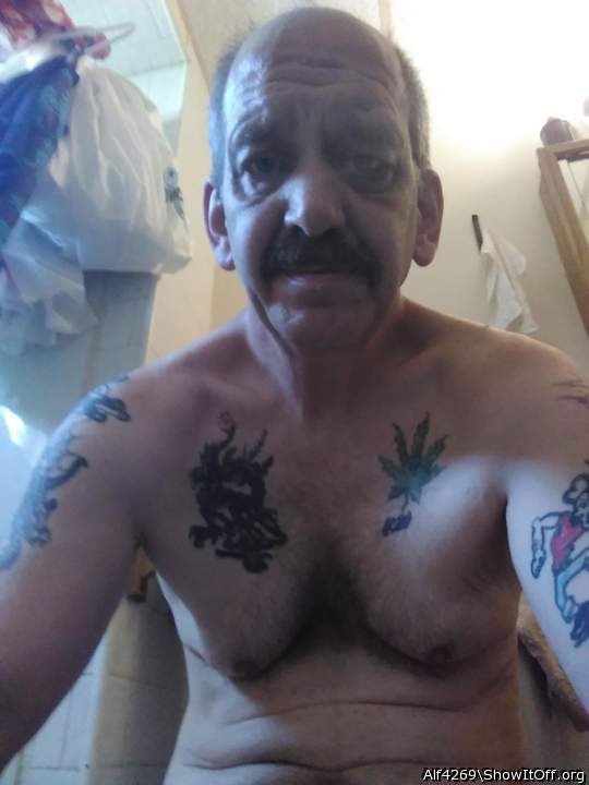 Adult image from Alf4269