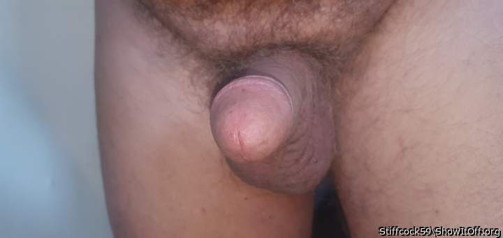 Adult image from Stiffcock59