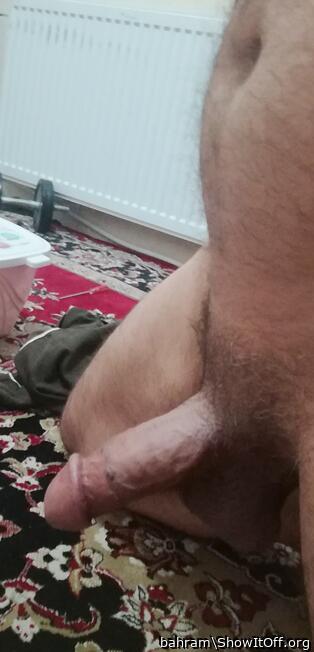 Adult image from bahram